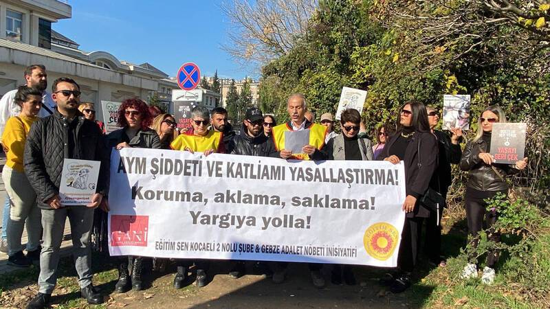 Hayvan hakları savunucuları, Kocaeli’deki barınak katliamı için adalet talep ediyor